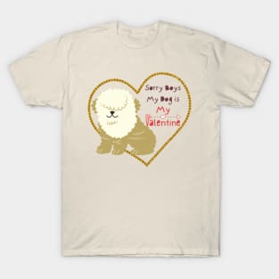 Sorry boys my dog is my valentine T-Shirt